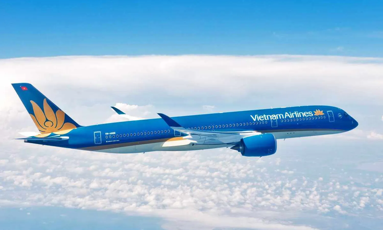 Vietnam Airlines operates the A350-900, a jet that can safely fly the more than 13,000 km separating Saigon from Los Angeles (Airbus)