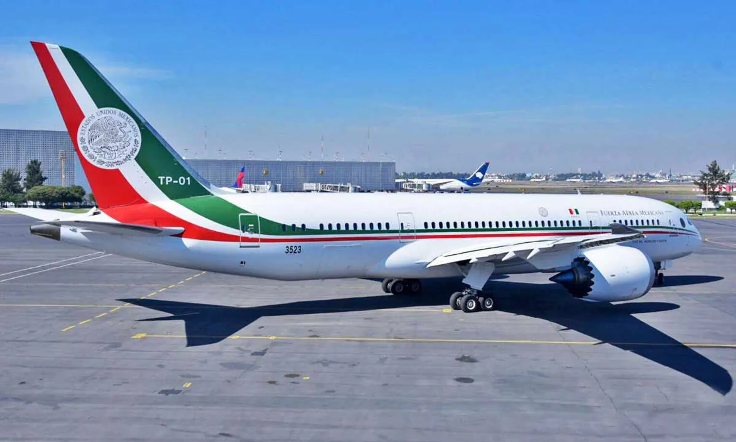 Boeing 787 "TP-01": raffle to sell the Mexican aircraft (GM)