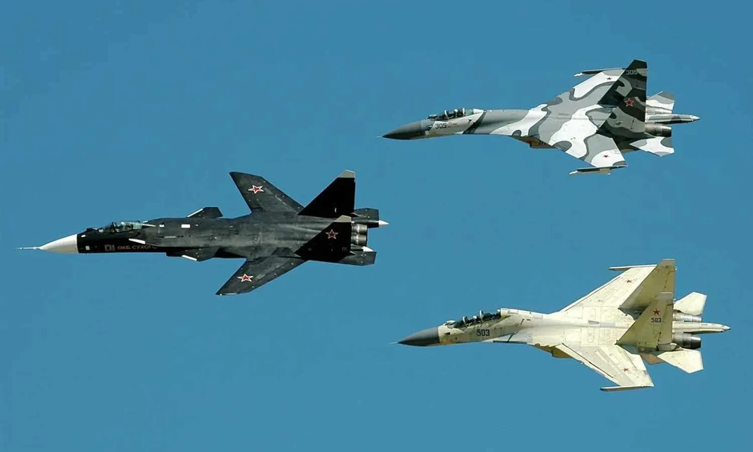 The Sukhoi Su-47 Berkut (	Sergey Krivchikov)