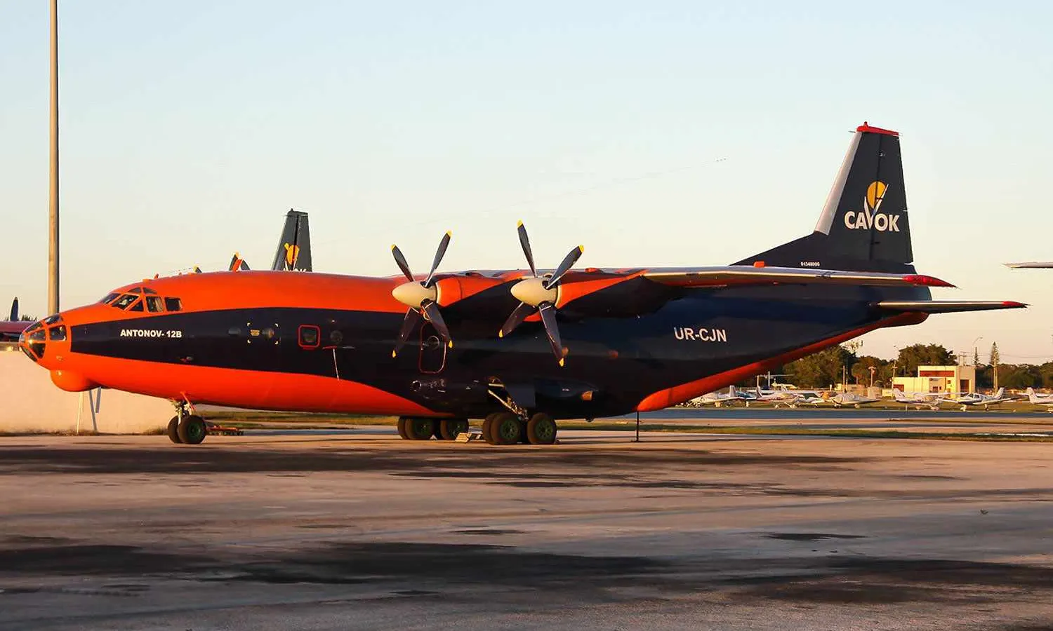 Antonov An-12 (Cavok Air)