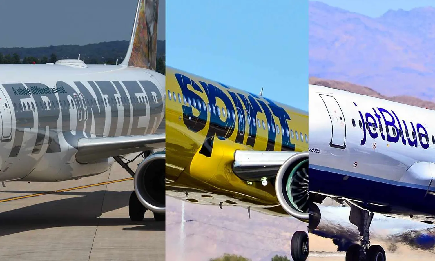 Spirit: between two offers (Tomás Del Coro/Mr.TinMD)