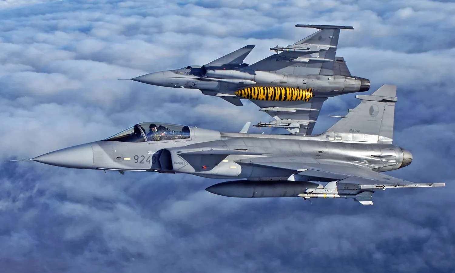 Czech Gripens (Milan Nykodym)