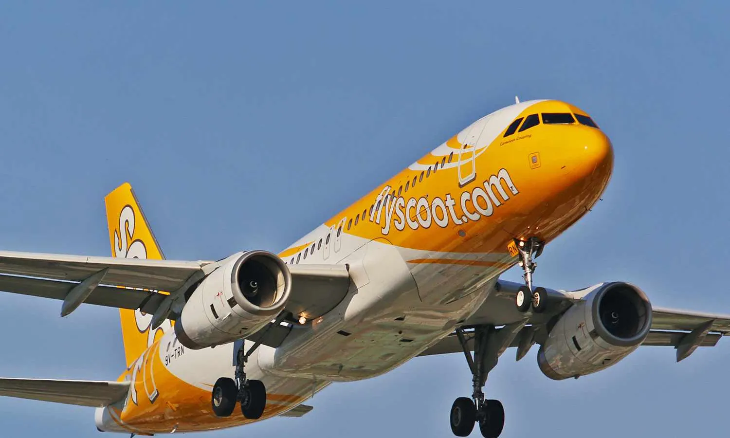 Scoot Airbus A320 (湯小沅)
