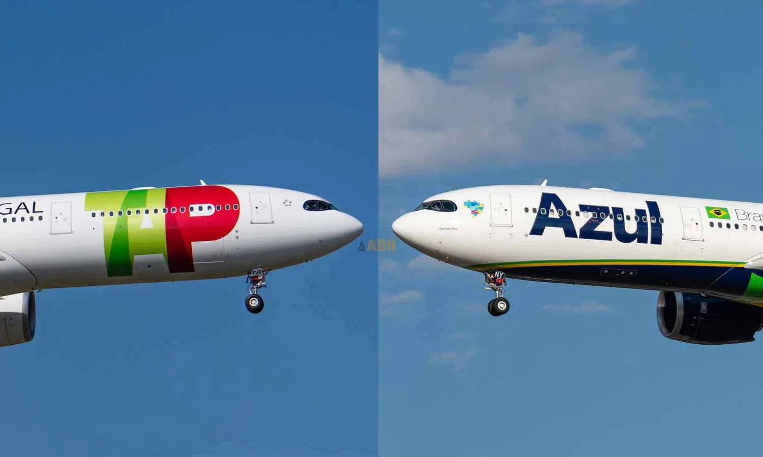 TAP and Azul A330neos (N509FZ)