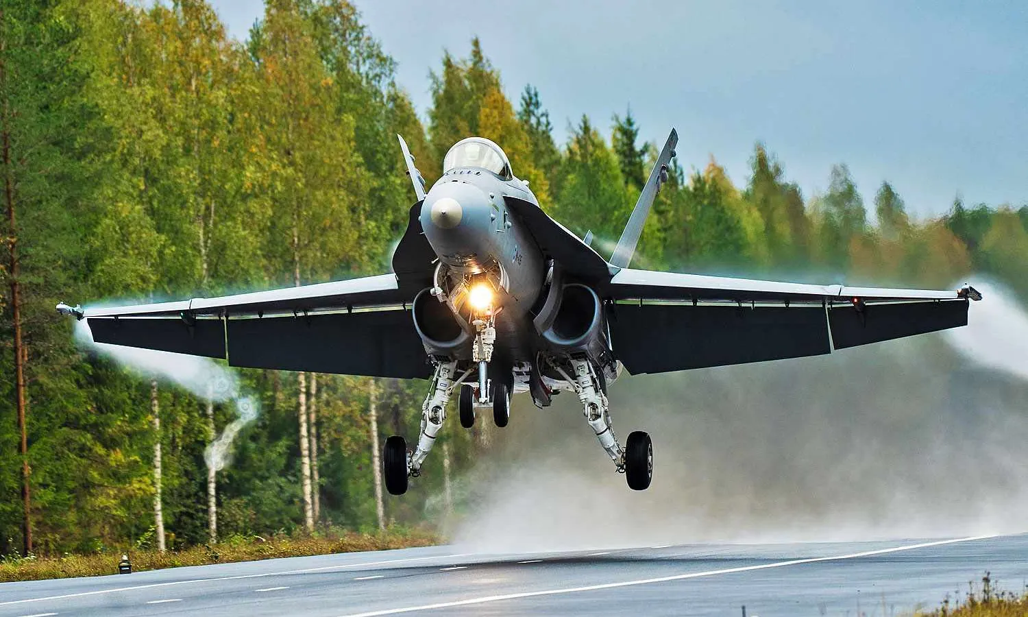Finnish Air Force F/A-18 (RAF)