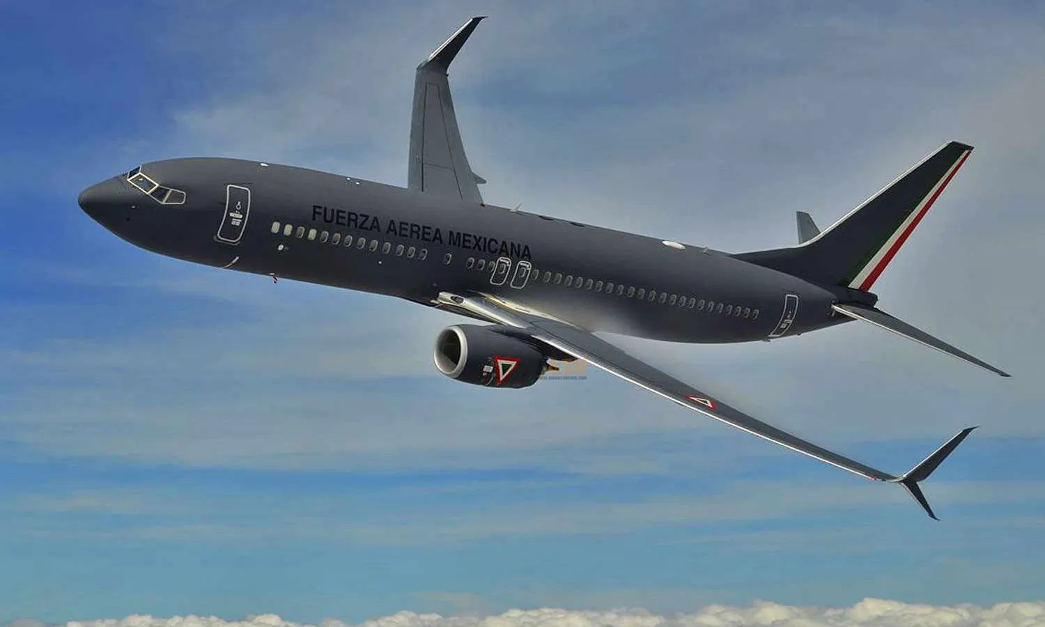 Mexican Air Force Boeing 737-800 (FAM)