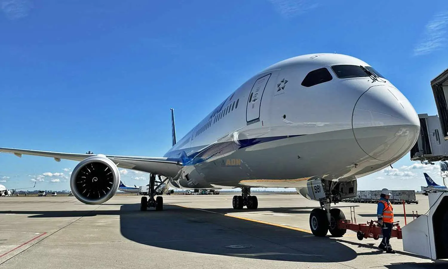 Boeing 787-10 with ANA domestic configuration (ANA)