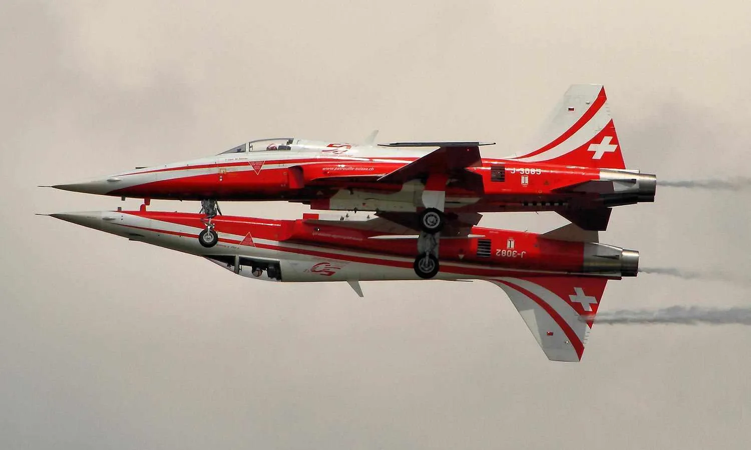 Patrouille Suisse F-5 Tiger II (Airwolfhound)