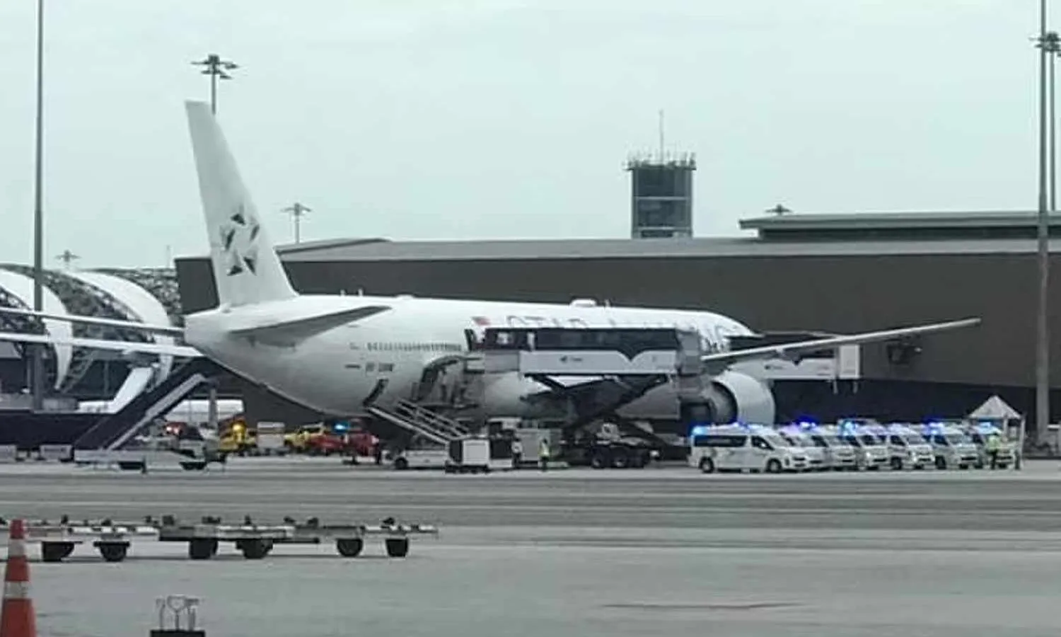 Singapore Airlines Boeing 777-300ER 9V-SWM (Social media)