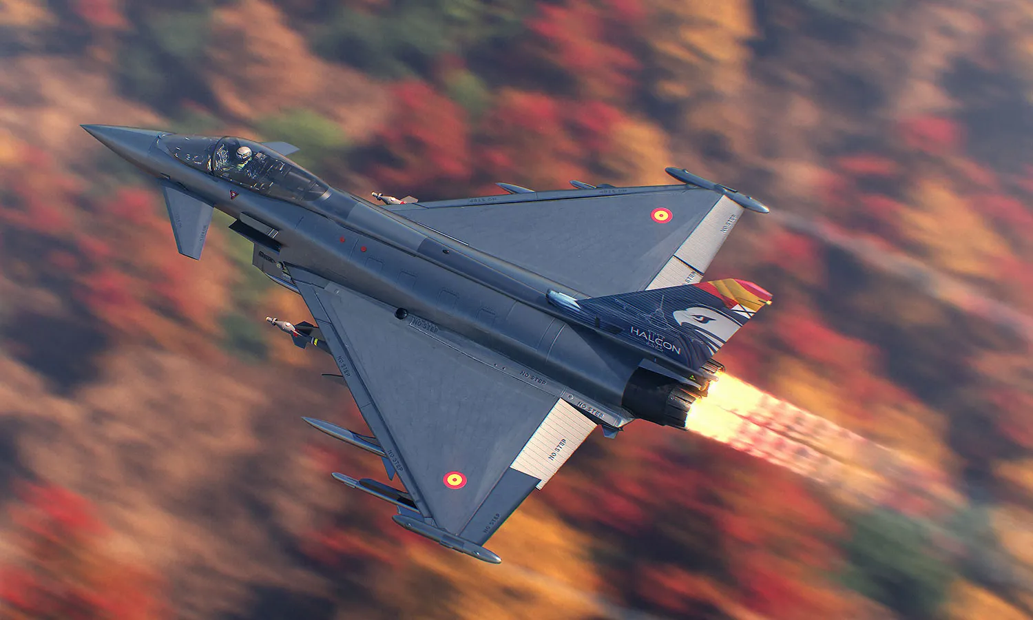 Spanish Air Force Eurofighter Typhoon (Airbus)