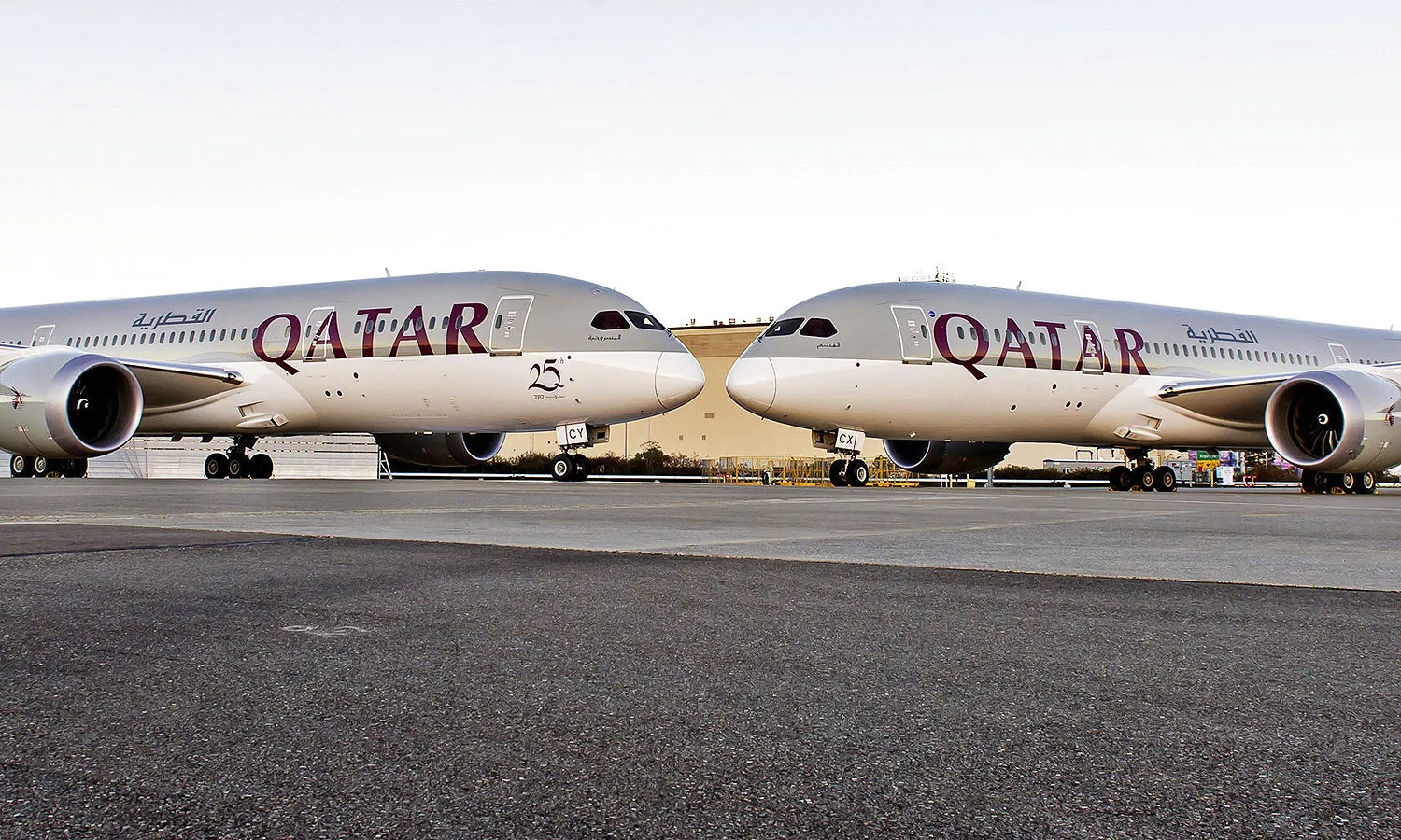 Qatar Airways Boeing 787 Dreamliners (Qatar)